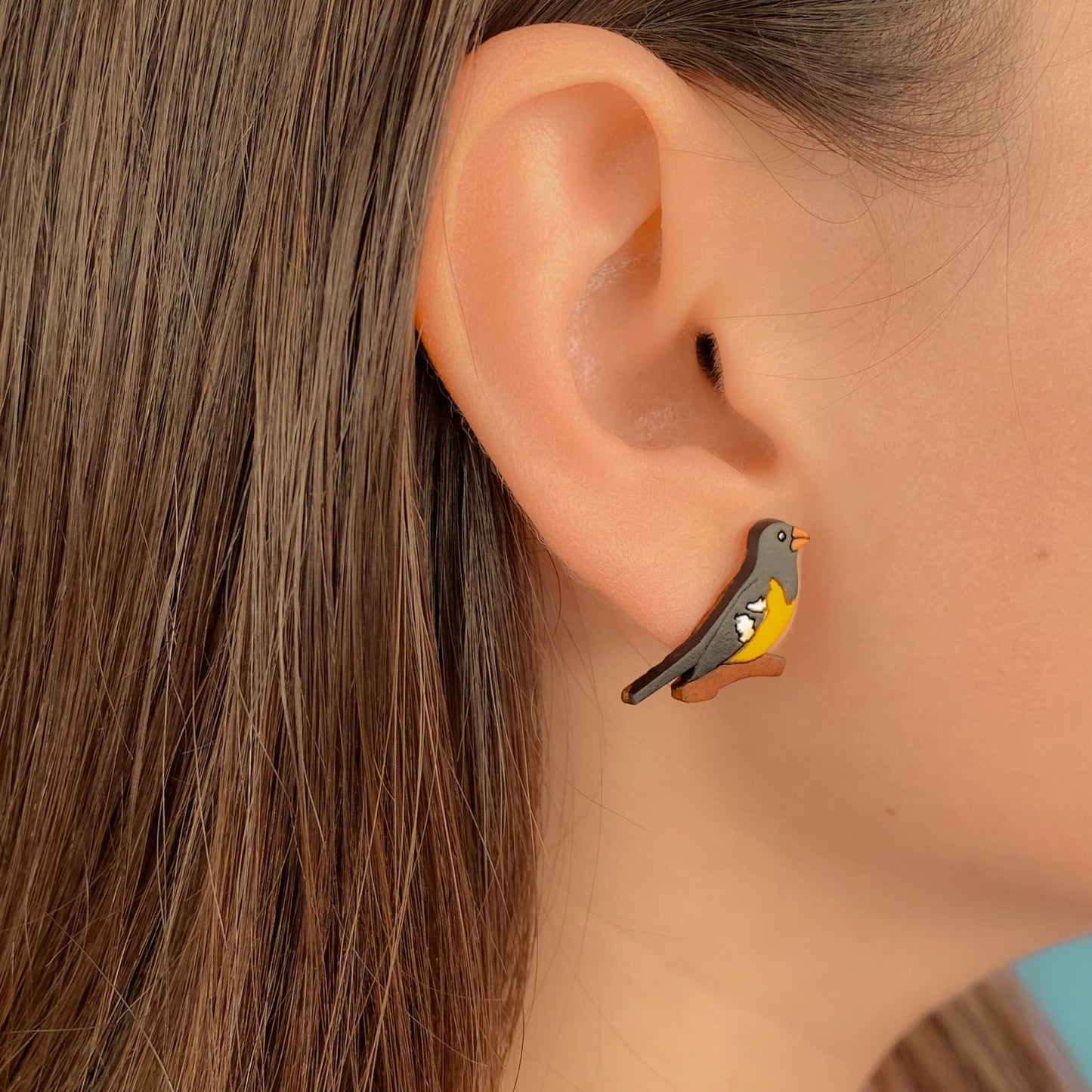 Topo Totumo Aves de mi jardín Miranchurito