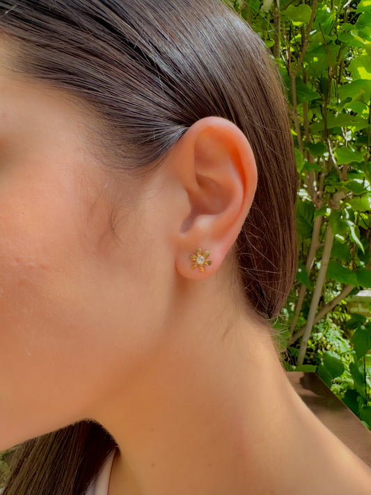 Topo florecita y cristal